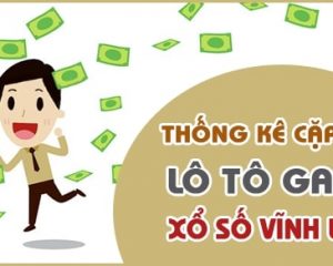 Thông tin cơ bản về lô gan Vĩnh Long